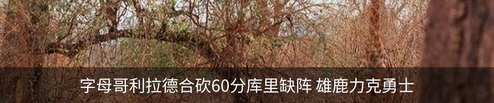 内页banner