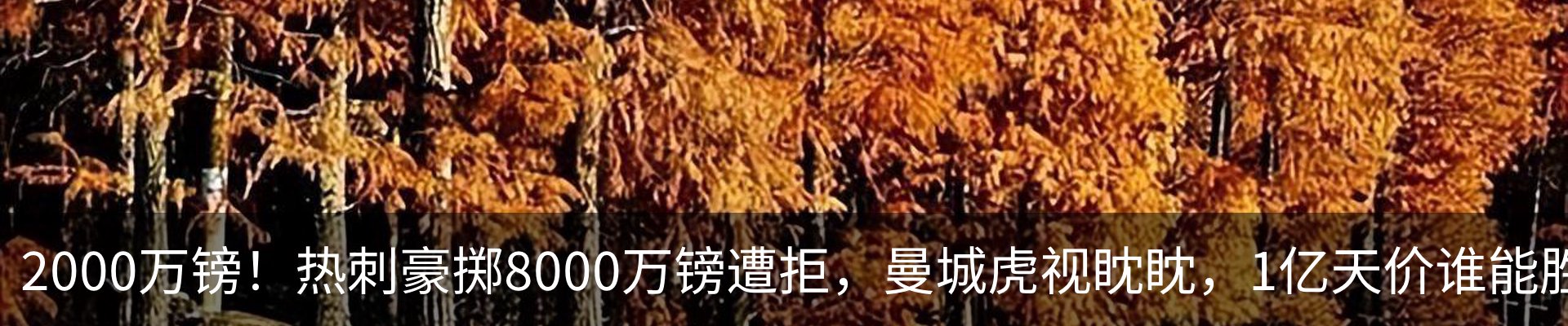 内页banner